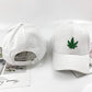 Pack of 2 Maple Cap - Imported