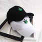 Pack of 2 Maple Cap - Imported