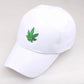 Pack of 2 Maple Cap - Imported